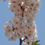 20110414140714.jpg